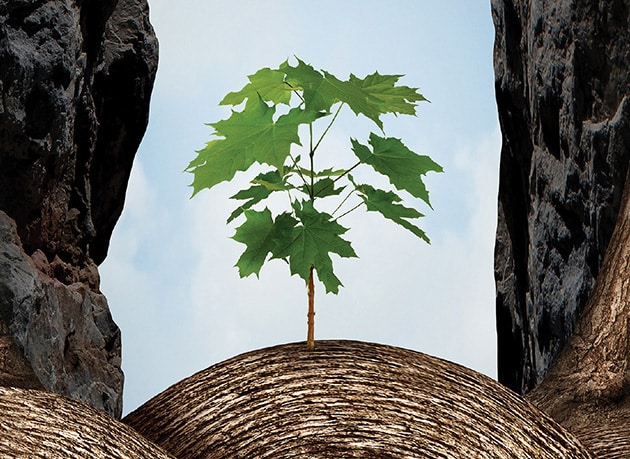 Mission and vision's media